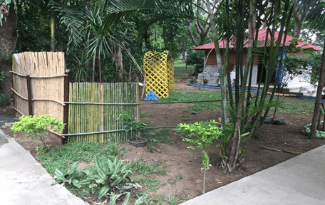 Beautification of surroundings at swimming pool area 